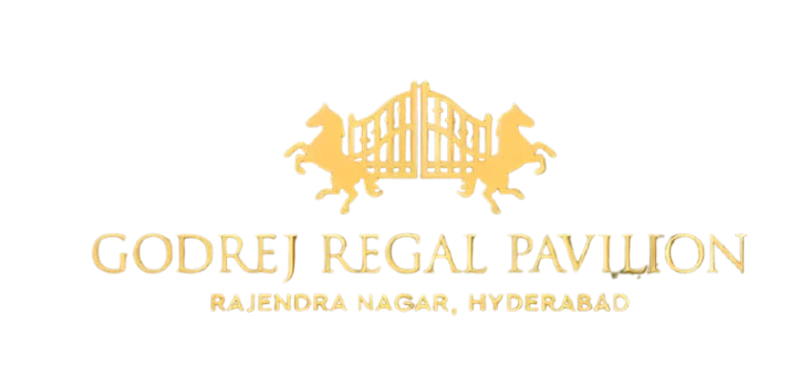 Untitled-1__1_-removebg-preview